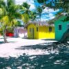Punta Cana or La Romana: Catalina Island Tour and Snorkeling - Image 3