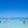 From Santo Domingo: Isla Saona Full-Day Tour with Lunch - Image 3
