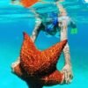 ⁦Punta Cana: Saona Island Day Trip with VIP Option⁩ – תמונה ⁦3⁩