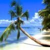 ⁦From Punta Cana: Bayahibe and Saona Island Tour with Lunch⁩ – תמונה ⁦3⁩