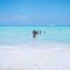⁦From Punta Cana: Saona Island Day Trip with Buffet Lunch⁩ - الصورة ⁦3⁩