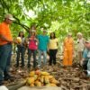 ⁦Dominican Republic: 3-Hour Chocolate Lovers Tour⁩ – תמונה ⁦3⁩