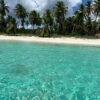 ⁦Saona Island: Small Group Virgin Beaches Cruise Day Trip⁩ - الصورة ⁦12⁩