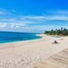 Explora la Experiencia: Tours de Punta Cana a Isla Saona - Image 2