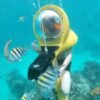 From Punta Cana: ScubaDoo, Snorkel & Glass Bottom Boat Tour - Image 14