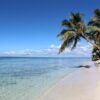 ⁦Full day Saona Island adventure⁩ – תמונה ⁦15⁩