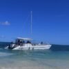 Small-Group Cruising and Snorkeling Catamaran Tour - Image 2