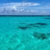 ⁦Saona Island: Small Group Virgin Beaches Cruise Day Trip⁩ - الصورة ⁦2⁩