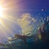 Punta Cana: Full-Day Snorkeling Tour to Catalina Island – Bild 17