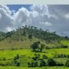 Punta Cana: Higuey, Coffee and Cocoa Tasting Tour with Lunch – Image 21