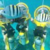 From Punta Cana: ScubaDoo, Snorkel & Glass Bottom Boat Tour - Image 20
