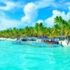 From Punta Cana: Isla Saona Full-Day Tour with Buffet Lunch - Image 3