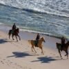 Puerto Plata: Horseback Riding on the Beach – Bild 3
