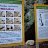 Las Terrenas: Los Haitises Boat and Walking Tour with Lunch – Bild 4