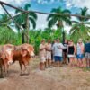 Punta Cana: Bavaro Runners Safari Tour - Image 4