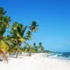 ⁦Saona Island: Beaches and Natural Pool Cruise with Lunch⁩ – תמונה ⁦2⁩