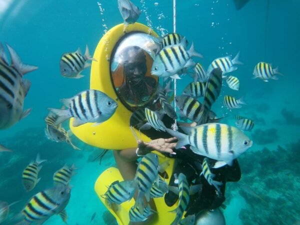 Punta Cana: Scubadoo Ocean Exploration Diving Adventure