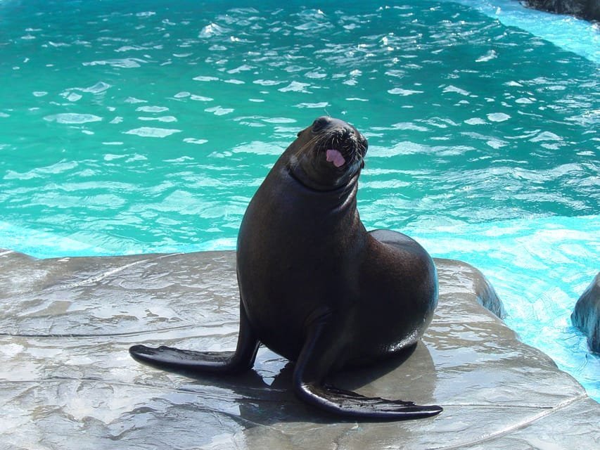 Puerto Plata: Ocean World Adventure Park Day Pass - Image 5