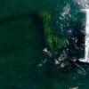 ⁦Samaná: Catamaran Boat Tour with Snorkeling and Lunch⁩ – תמונה ⁦5⁩