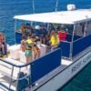 ⁦Saona Island Private Excursion for 10+ People⁩ – תמונה ⁦2⁩