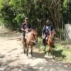Beach horse back riding and countryside - Image 5