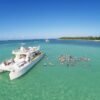 Punta Cana: Marinarium Snorkeling Cruise - Image 5