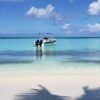 ⁦Full-Day Catalina Island With Scuba Diving⁩ – תמונה ⁦5⁩