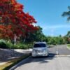 ⁦Private Transfer from Jewels Palm Beach to SDQ⁩ – תמונה ⁦2⁩