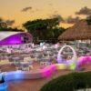 Private Transfer from PUJ to Excellence El Carmen - Image 2