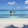 Punta Cana: Saona Island Full-Day Small Groups Tour - Image 5