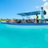 Aventura Exótica a Isla Saona: Paraíso en la Piscina Natural - Image 5
