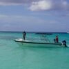 ⁦Saona Island: 6 Hour Private Tour with Snorkeling⁩ – תמונה ⁦4⁩