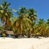 ⁦Saona Island From Punta Cana⁩ – תמונה ⁦5⁩