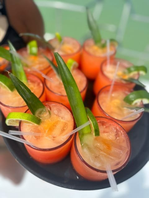 Punta Cana: Boat Party with Snorkel and Natural Pool Stop - Image 5
