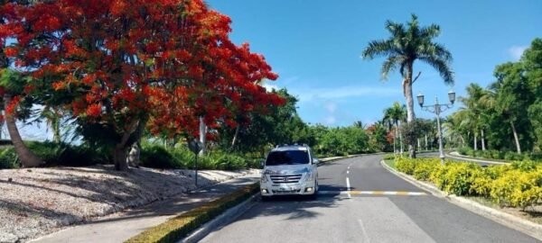 Private Transfer Iberostar La Hacienda to Punta Cana Airport