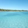 ⁦Saona Island: Small Group Virgin Beaches Cruise Day Trip⁩ - الصورة ⁦6⁩