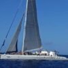 Catalina Island: Day Trip - Best Snorkeling! - Image 6