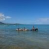Puerto Plata: Horseback Riding on the Beach – Bild 6