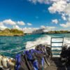 Catalina Island Scuba Diving Tour from Punta Cana - Imatge 6