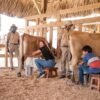 Punta Cana: Eco Park Safari Adventure - Image 6