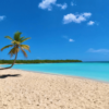 ⁦Saona Island: Full-Day Boat Tour with Drinks & Buffet Lunch⁩ – תמונה ⁦6⁩