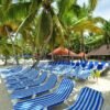 Saona Island: Full-Day Boat Tour with Buffet Lunch & Drinks - Imatge 5
