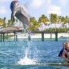 ⁦Punta Cana: Dolphin Experience in the Sea⁩ – תמונה ⁦7⁩