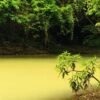 Punta Cana: Anamaya Mountains Walking Tour with Tasting - Image 7