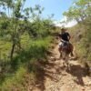 ⁦Dominican Republic: El Limón Waterfall Horseback Riding Tour⁩ – תמונה ⁦7⁩