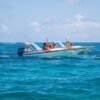 Punta Cana: Speedboat and Snorkeling Adventure with … - Image 6