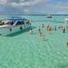 Saona Island: Full-Day Boat Tour with Buffet Lunch & Drinks - Imatge 9