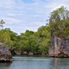 Las Terrenas: Just Los Haitises Boat and Walking Tour - Image 8
