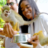 ⁦Monkeyland experience + Lunch and transportation⁩ – תמונה ⁦5⁩