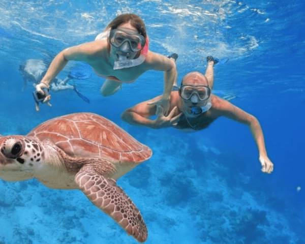 Punta Cana: Catalina Island With Snorkeling